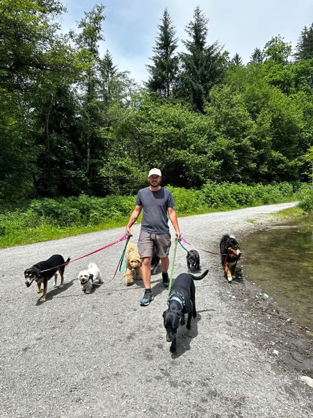 Loris auf dem Waldweg mit dem ganzen Rudel