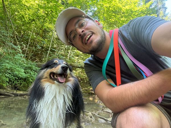 Rudel planscht im Waldbach