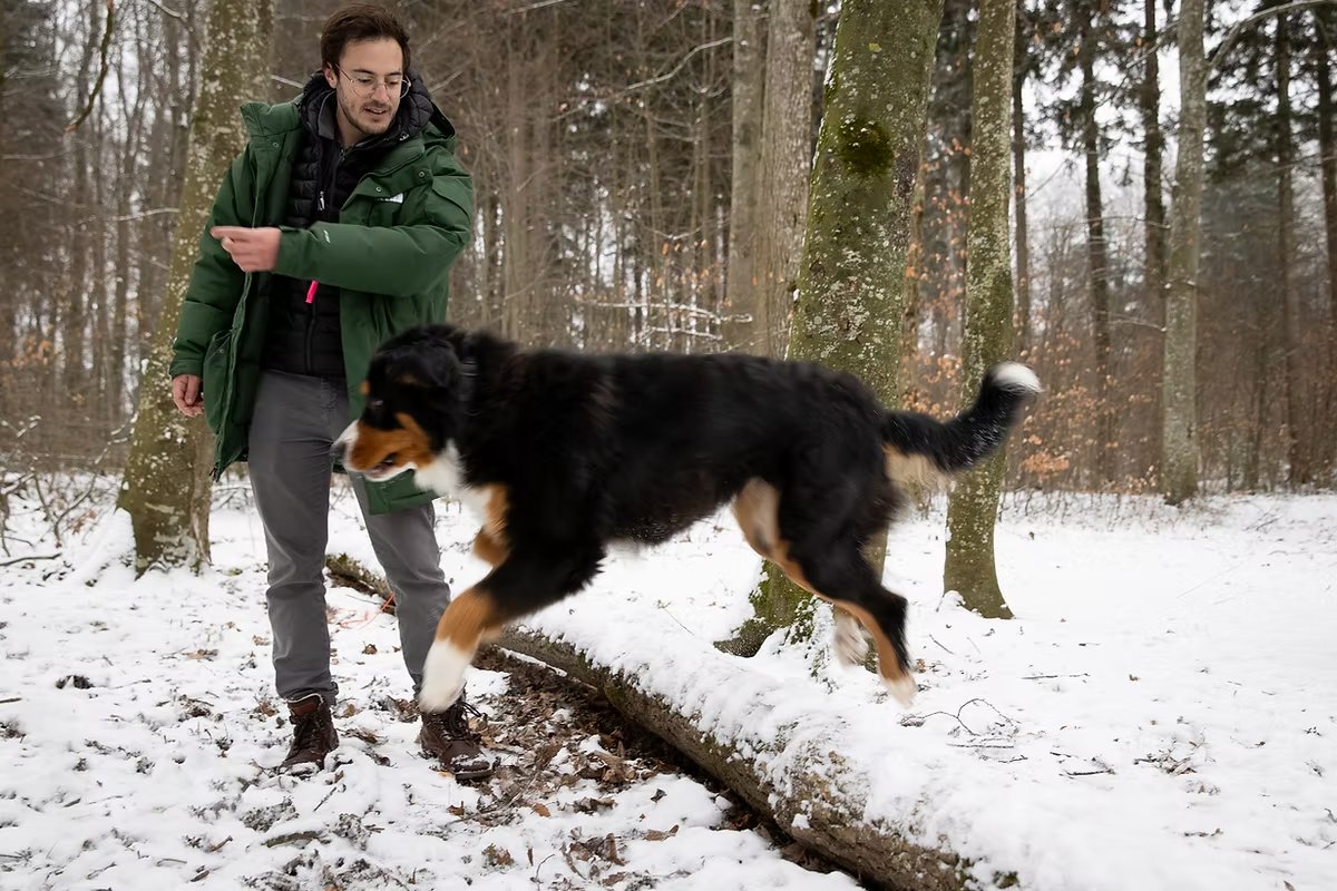 Hundetraining mit Loris